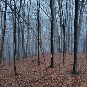 Meet your Posher, Aimee